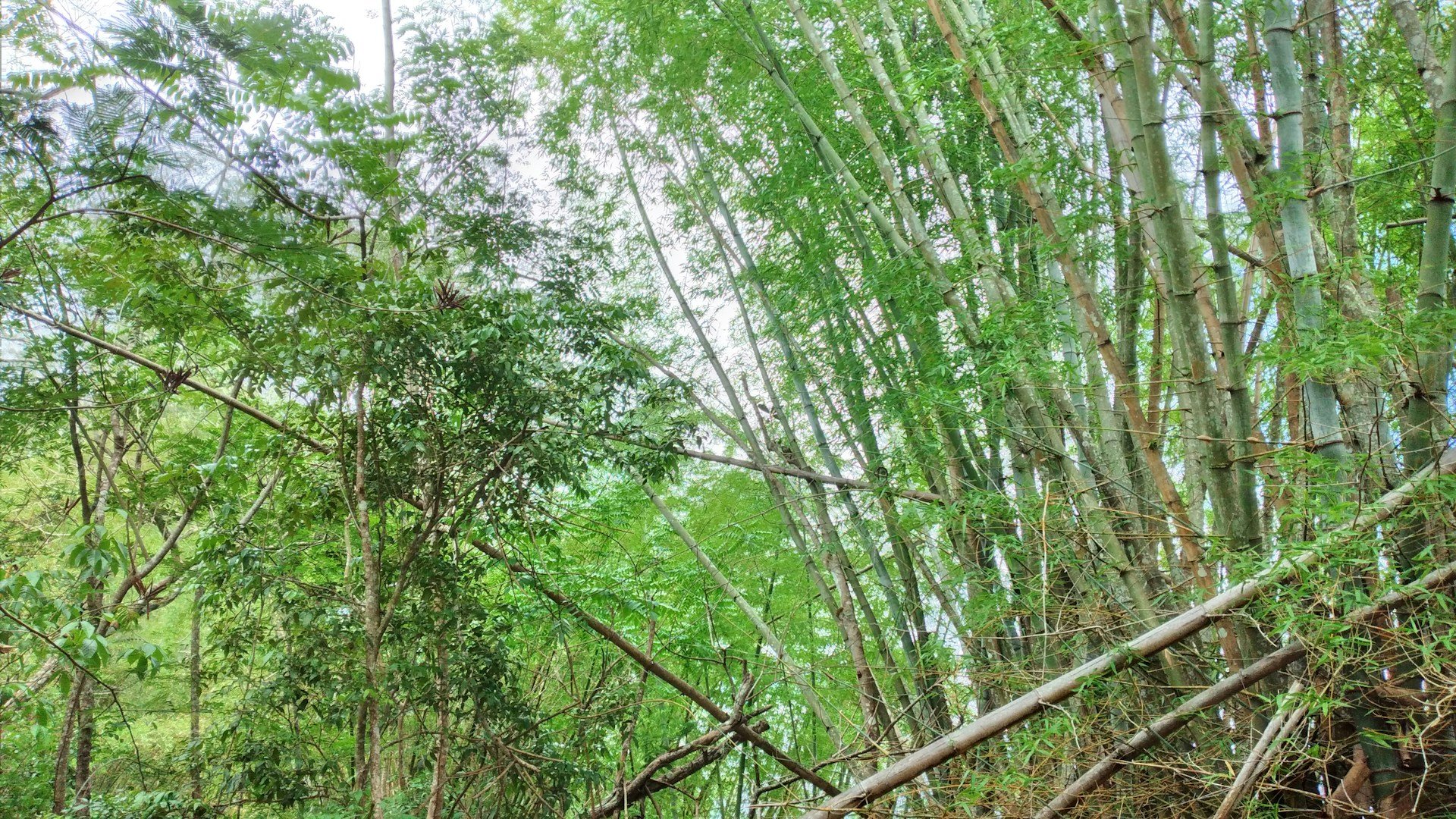 Bali Beach & Yoga Retreat