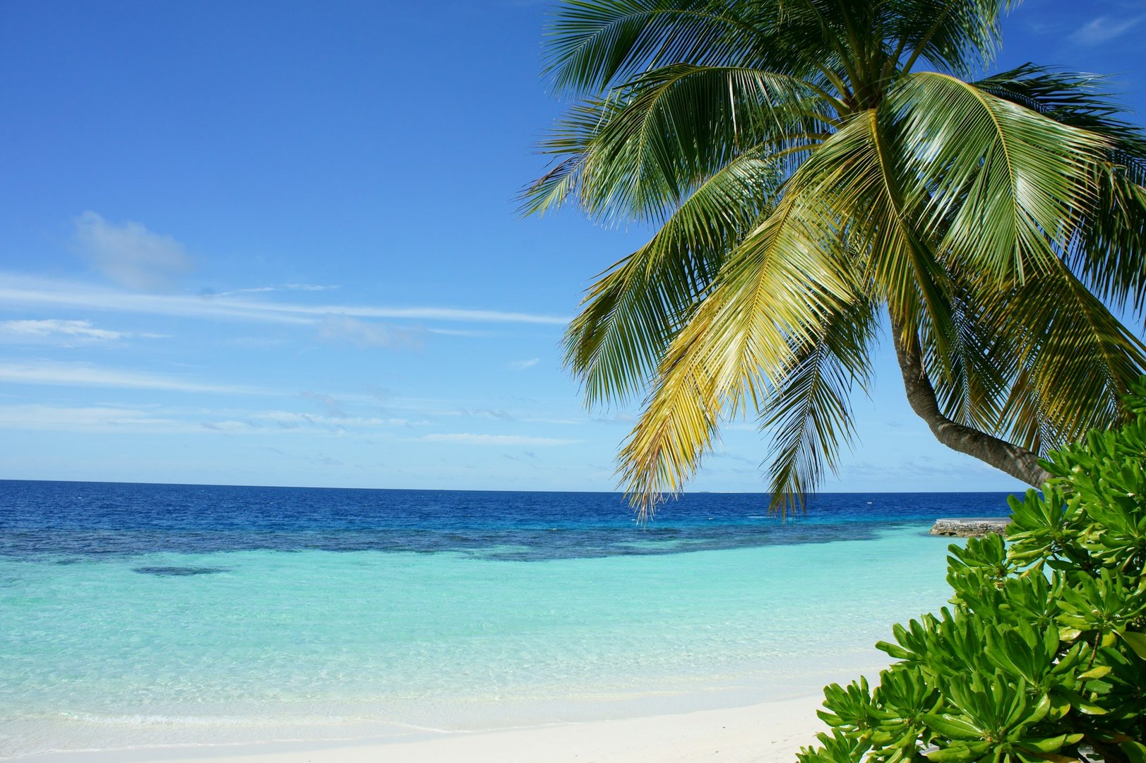 Aruba Beach Escape: Sun, Sand & Adventure
