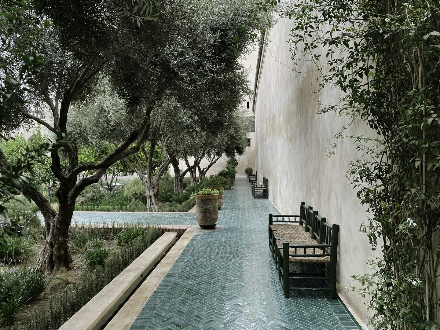 Morocco Desert & Medina Tour